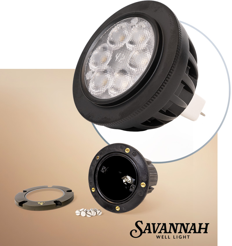 savannah bulb