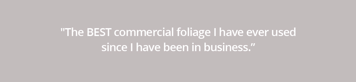 Testimonial 3 Desktop