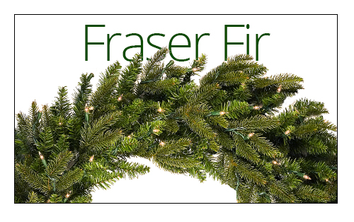 Fraser Fir Wreaths