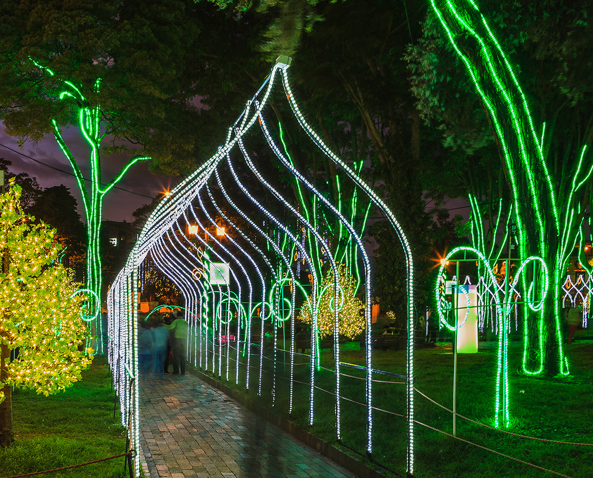 Rope Light Used to Outline Christmas Archways